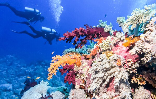 diving in Belize