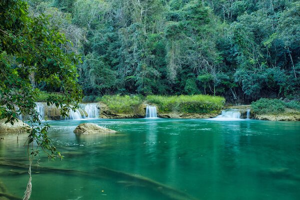 belize rainforest